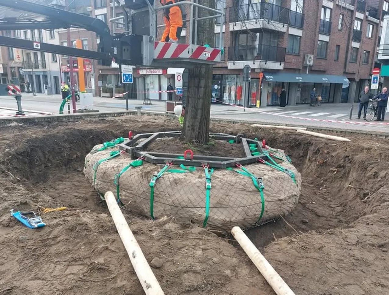 Palonnier entièrement fabriqué sur mesure pour le déplacement d'arbres